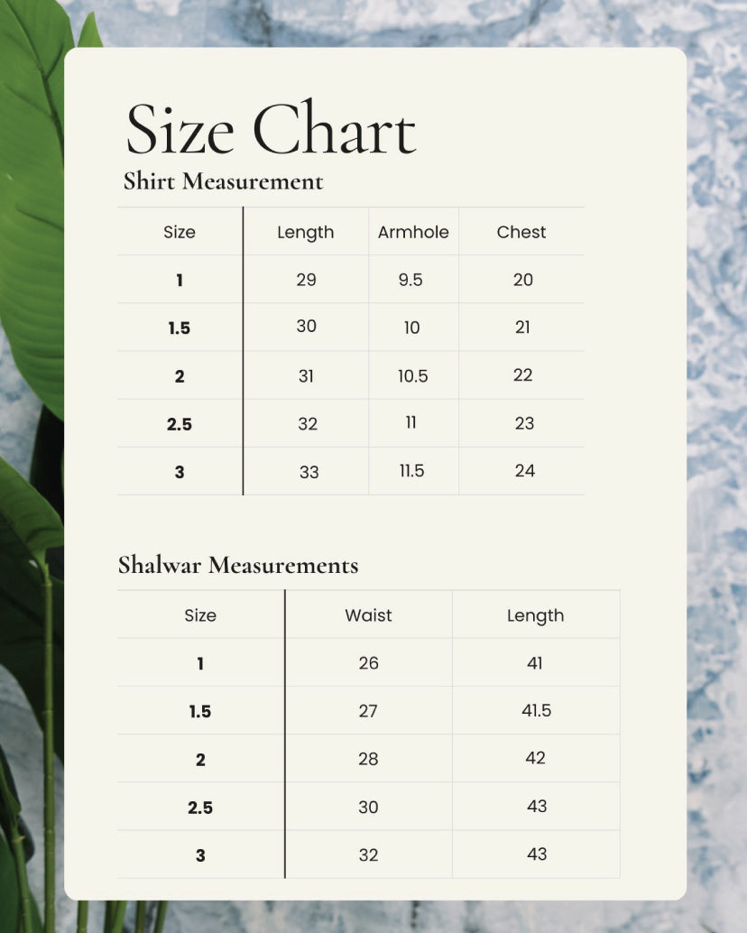 Zainu